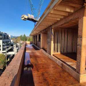 Residential framing project by Glasser Brothers Construction - 14