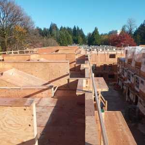 Residential framing project by Glasser Brothers Construction - 20