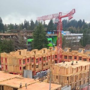 Residential framing project by Glasser Brothers Construction - 9