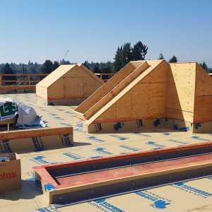 Residential framing project by Glasser Brothers Construction - 11