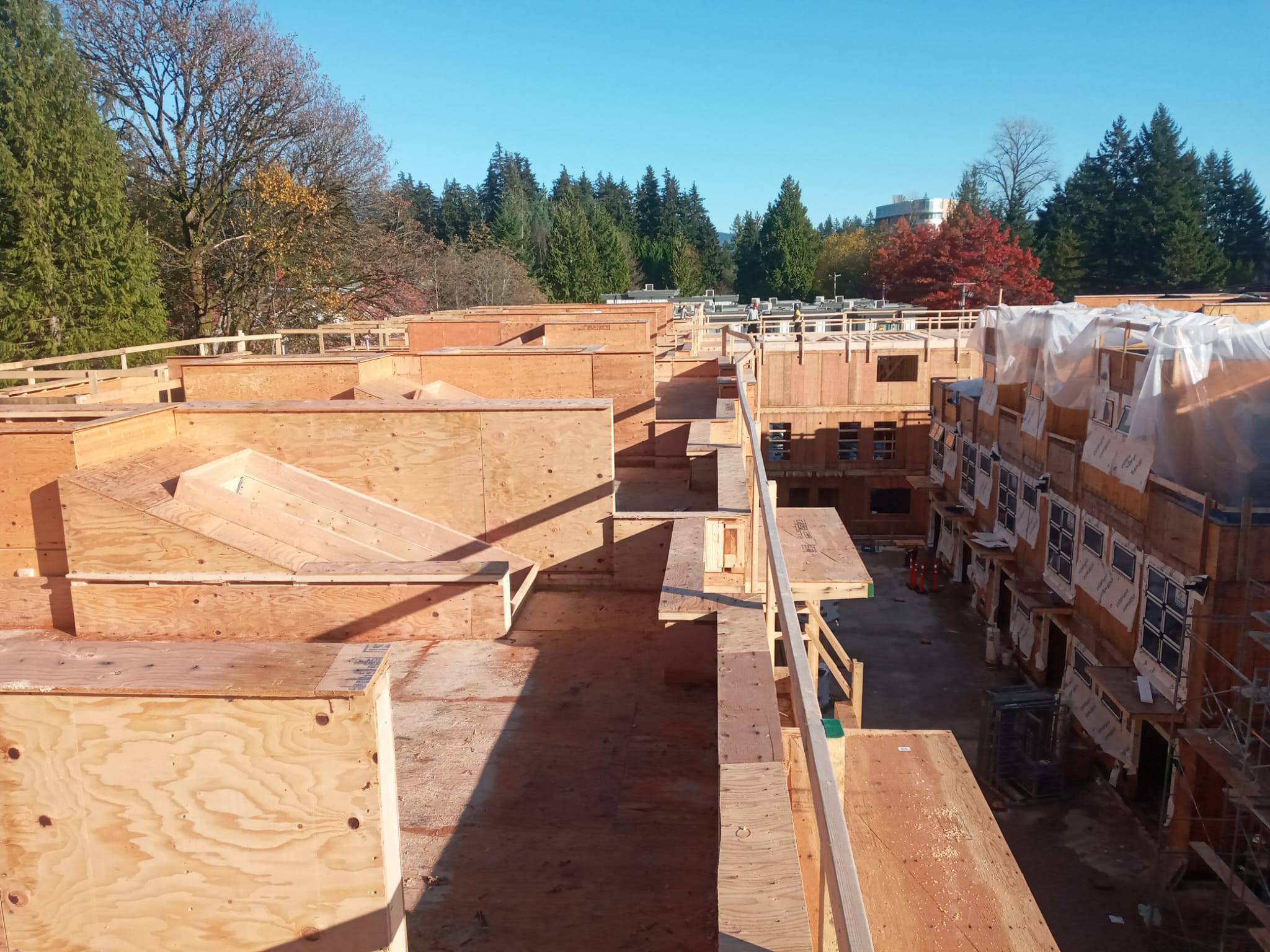Multi-family residential framing by Glasser Brothers Construction BC